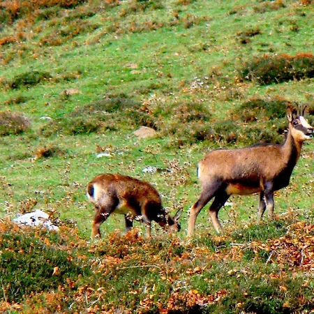 La Casona De Mestas 2*