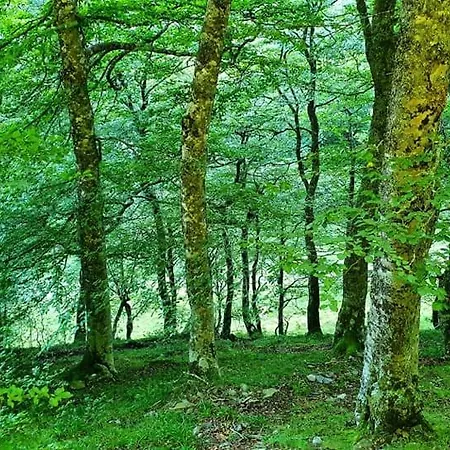 La Casona De Mestas Hotel Ponga